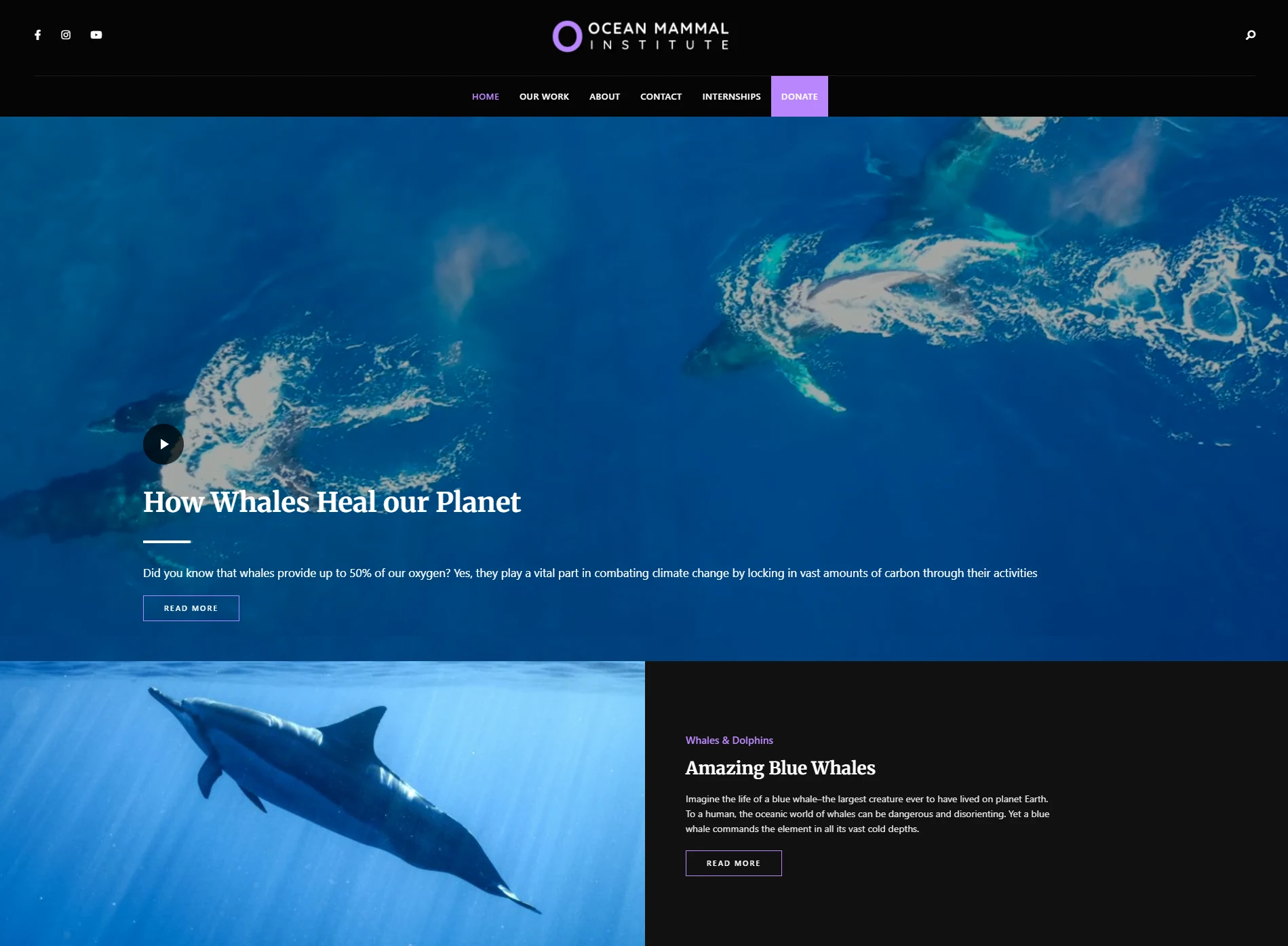 Longer Ocean Mammal Institute page featuring whales and subsequent content