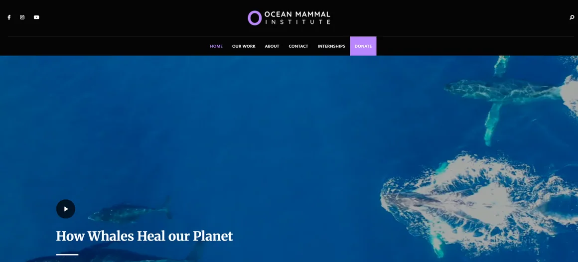 Screenshot from the Ocean Mammal Institute website shown in an Internet Strategics case-study archive.